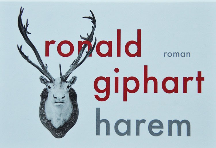 Ronald Giphart Harem roman schrijver literatuur dwarsligger